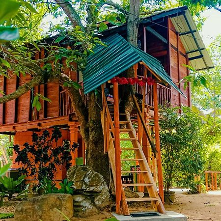 Sigiri Sky Home & Treehouse Sigiriya Luaran gambar