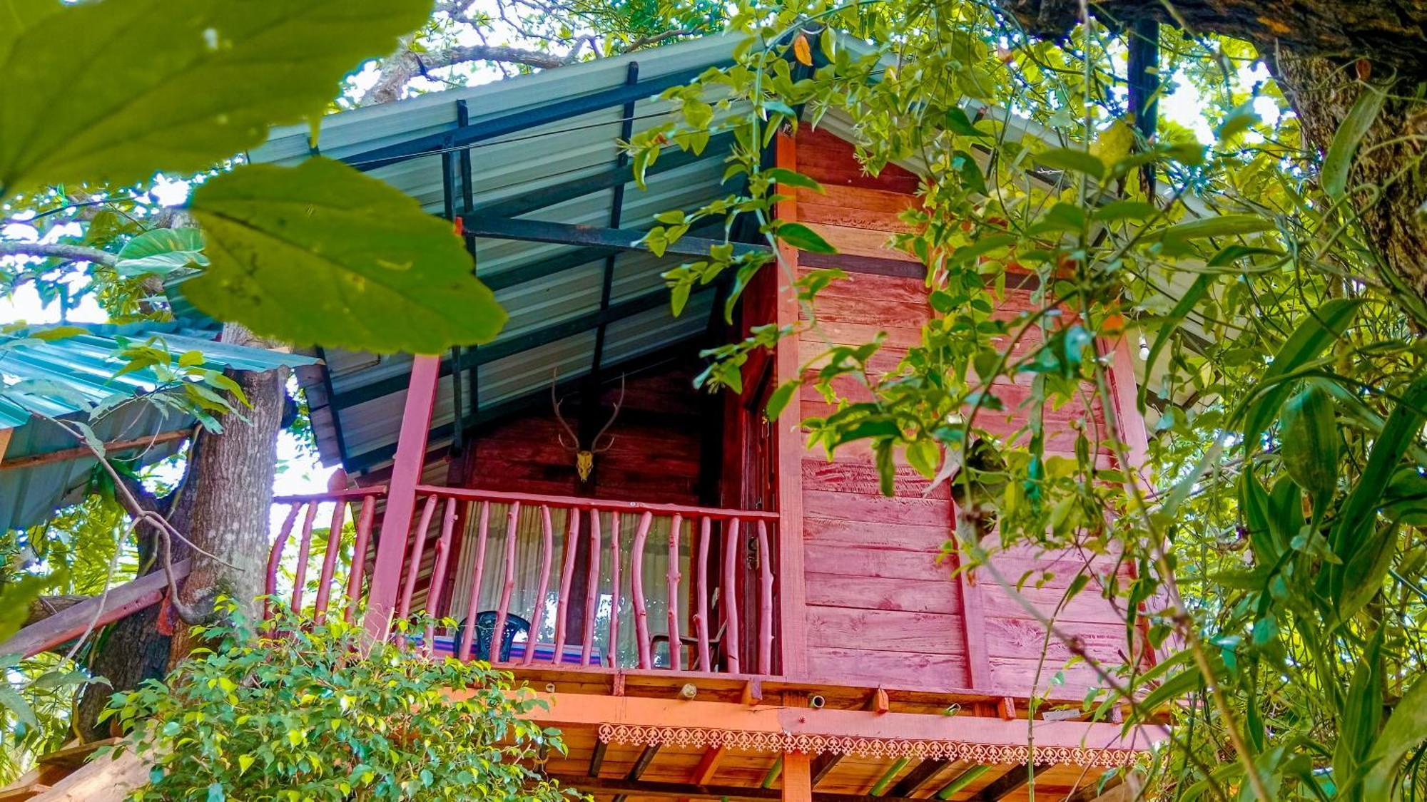 Sigiri Sky Home & Treehouse Sigiriya Luaran gambar