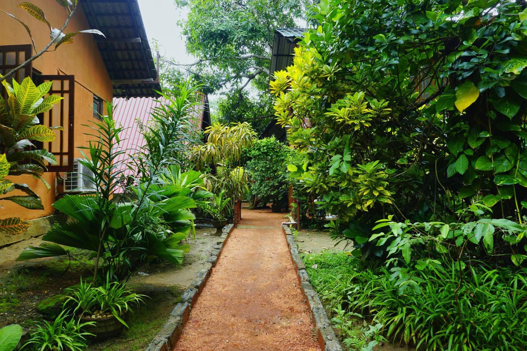 Sigiri Sky Home & Treehouse Sigiriya Luaran gambar